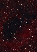 Astrophotography: Dark Nebula